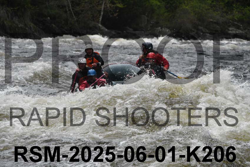 RSM-2025-06-01-K206