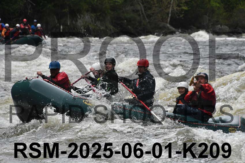 RSM-2025-06-01-K209