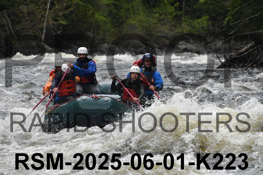 RSM-2025-06-01-K223