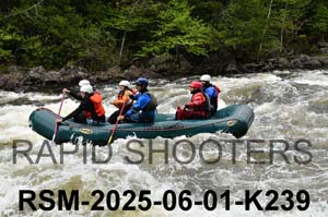 RSM-2025-06-01-K239