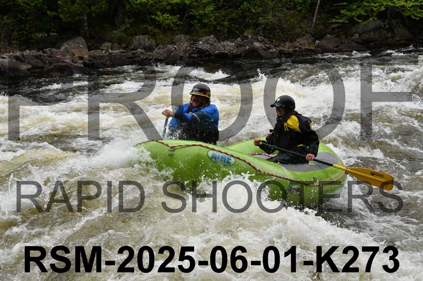 RSM-2025-06-01-K273
