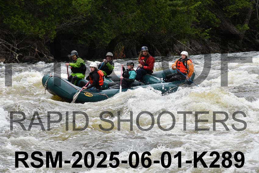 RSM-2025-06-01-K289