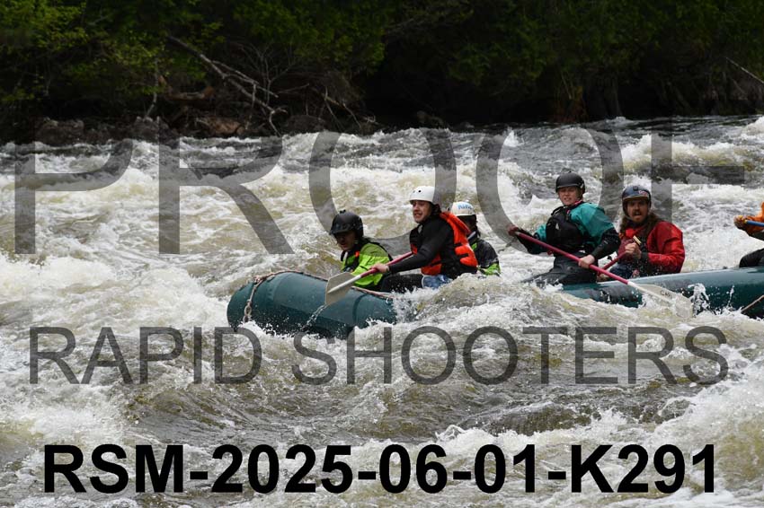 RSM-2025-06-01-K291