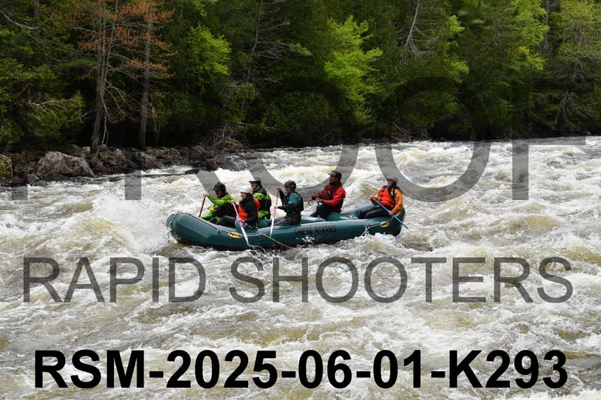 RSM-2025-06-01-K293