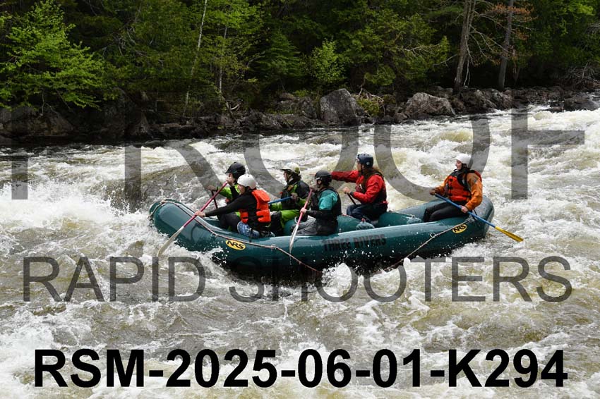 RSM-2025-06-01-K294