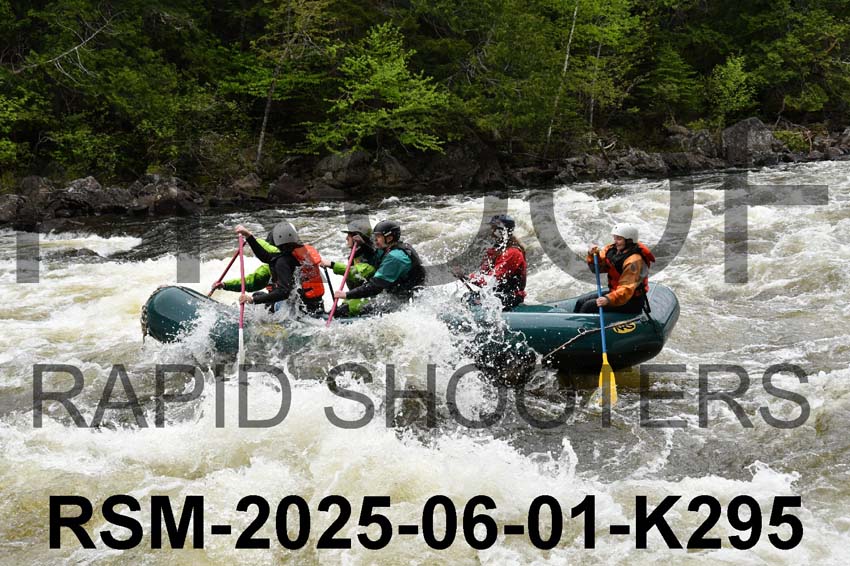 RSM-2025-06-01-K295