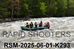 RSM-2025-06-01-K293