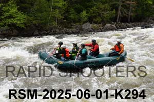RSM-2025-06-01-K294