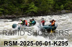 RSM-2025-06-01-K295