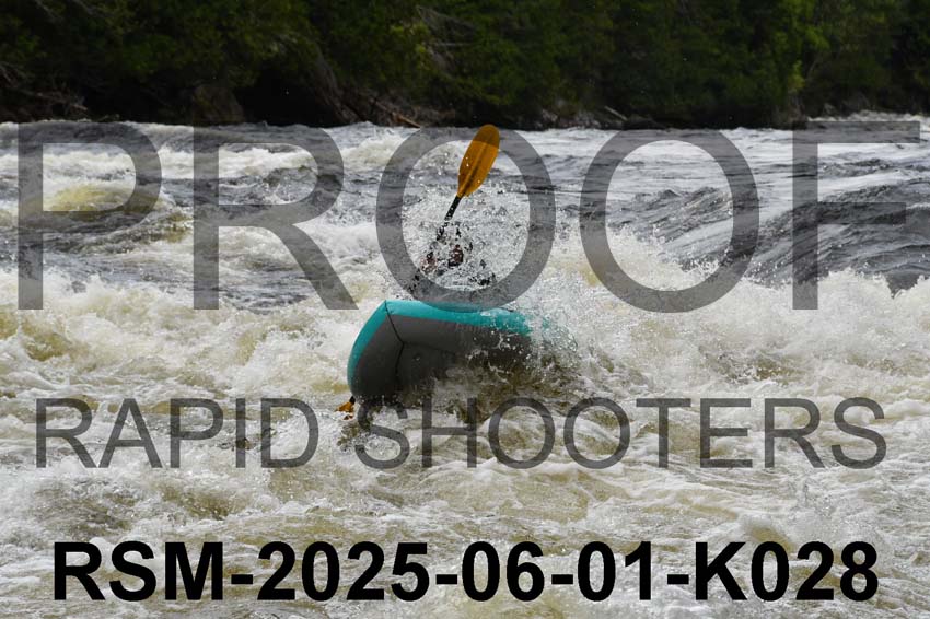 RSM-2025-06-01-K028