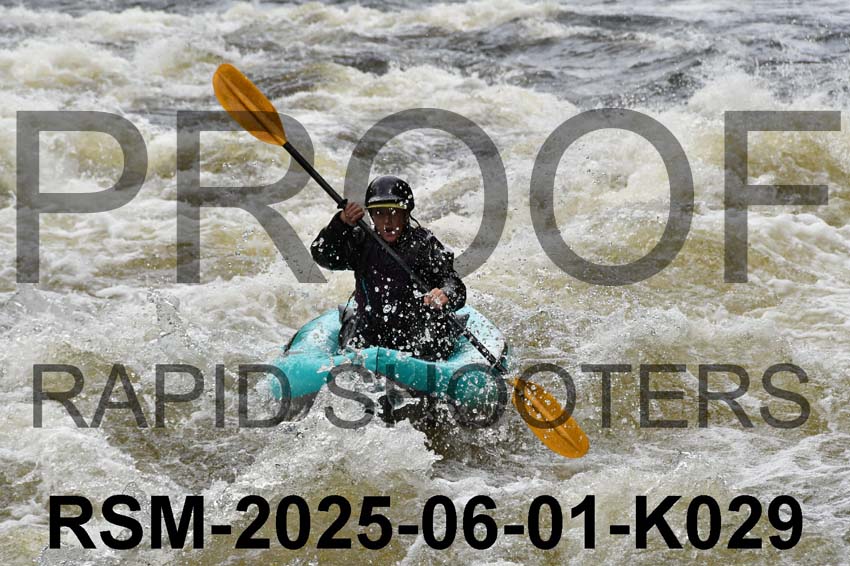 RSM-2025-06-01-K029