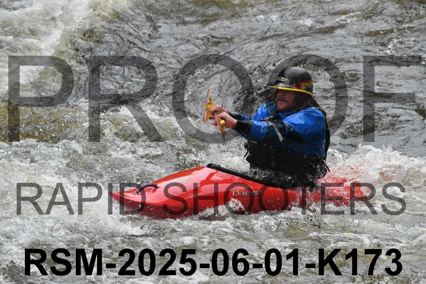 RSM-2025-06-01-K173