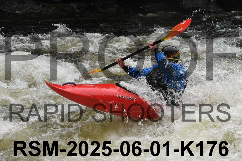 RSM-2025-06-01-K176