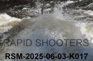 RSM-2025-06-03-K017