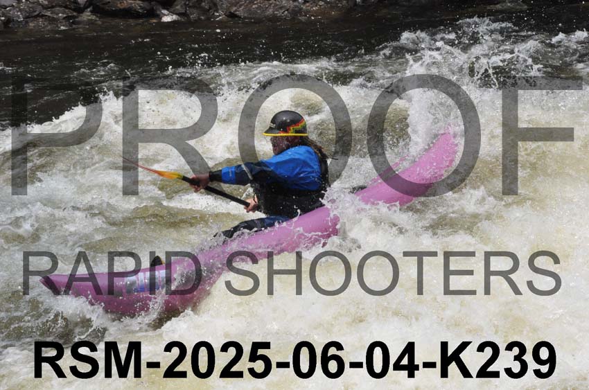 RSM-2025-06-04-K239