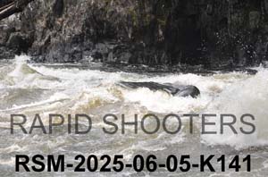 RSM-2025-06-05-K141