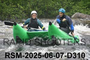 RSM-2025-06-07-D310