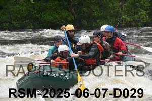 RSM-2025-06-07-D029