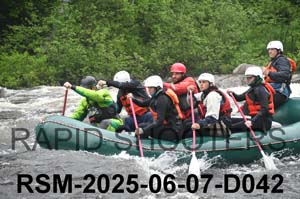 RSM-2025-06-07-D042