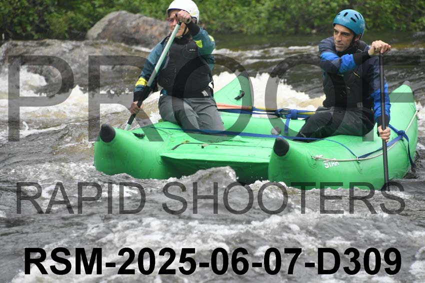 RSM-2025-06-07-D309