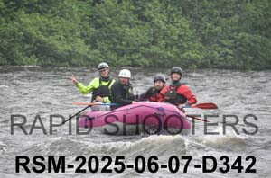 RSM-2025-06-07-D342