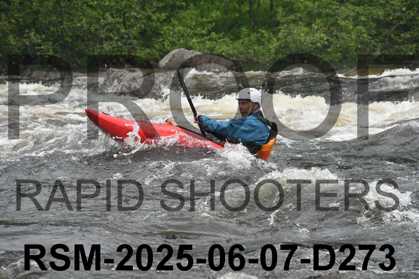 RSM-2025-06-07-D273