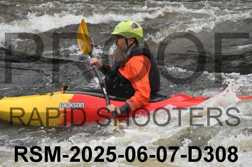 RSM-2025-06-07-D308