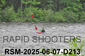 RSM-2025-06-07-D213