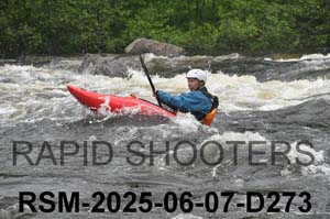 RSM-2025-06-07-D273