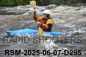 RSM-2025-06-07-D295