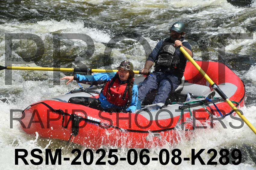 RSM-2025-06-08-K289