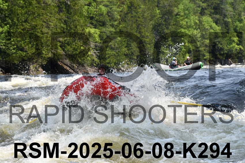 RSM-2025-06-08-K294