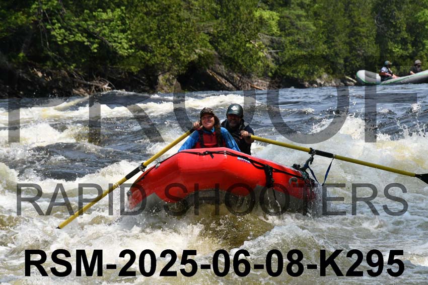 RSM-2025-06-08-K295