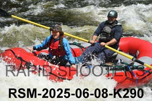 RSM-2025-06-08-K290