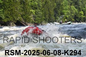 RSM-2025-06-08-K294