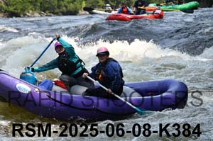 RSM-2025-06-08-K384