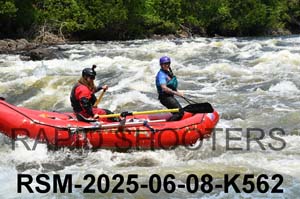 RSM-2025-06-08-K562