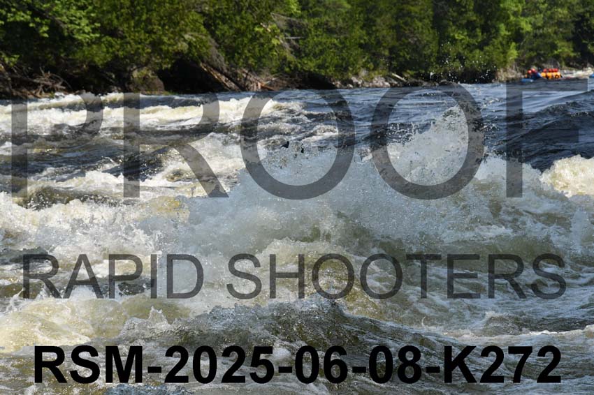 RSM-2025-06-08-K272