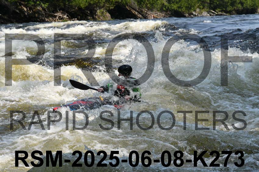 RSM-2025-06-08-K273