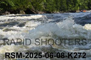 RSM-2025-06-08-K272