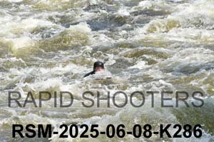 RSM-2025-06-08-K286