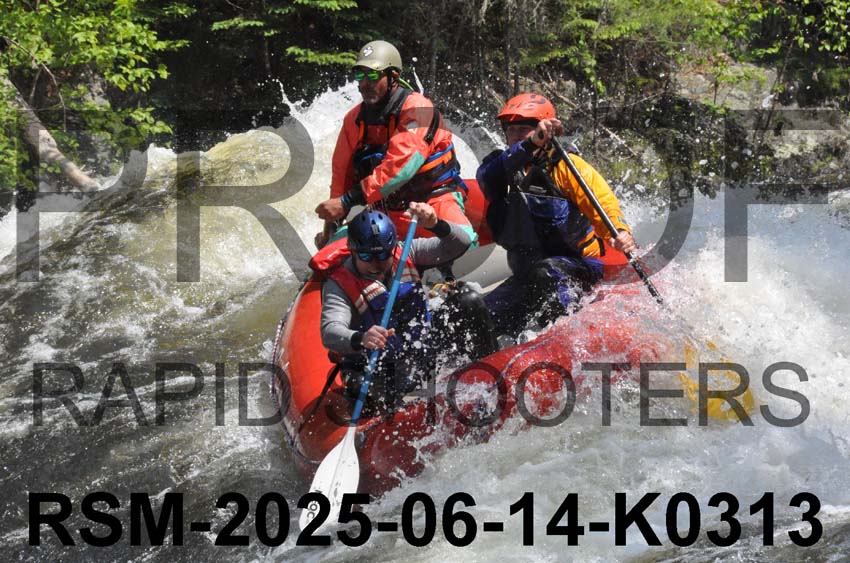 RSM-2025-06-14-K0313