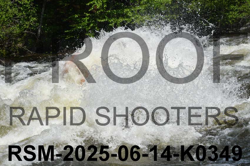 RSM-2025-06-14-K0349