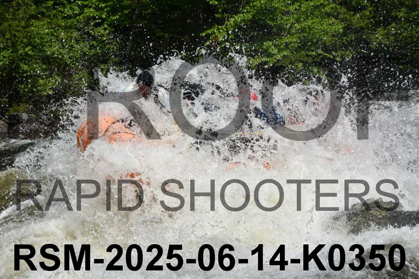 RSM-2025-06-14-K0350