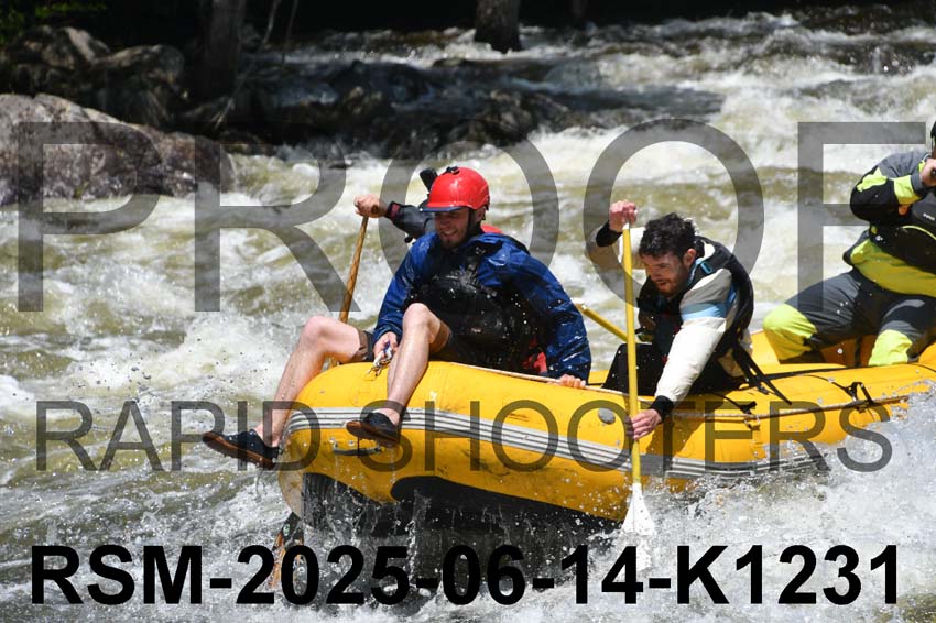 RSM-2025-06-14-K1231