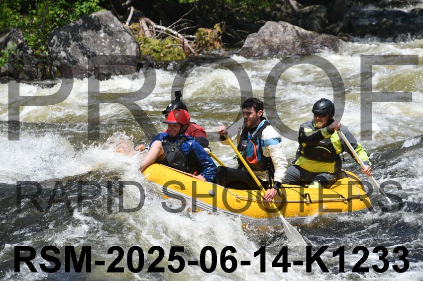 RSM-2025-06-14-K1233