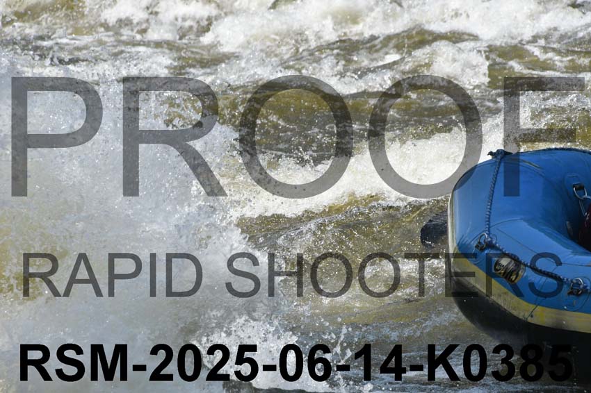 RSM-2025-06-14-K0385