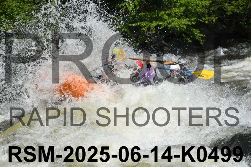 RSM-2025-06-14-K0499