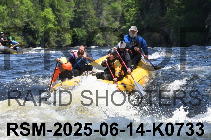 RSM-2025-06-14-K0733