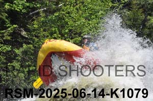 RSM-2025-06-14-K1079